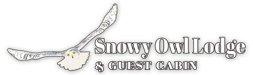 Snowy Owl Lodge Logo