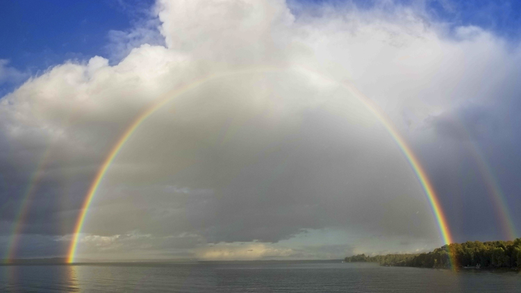 Curtis, MI Resorts | Where is the best cabin rentals on Big Manistique Lake?  | Big Manistique Lake Cabin Rentals | Rental Cabins on Big Manistique Lake | Best Rentals on Big Manistique Lake | Curtis MI Cabin Rentals | Curtis MI | Curtis Michigan Lodging | Resorts in Curtis MI