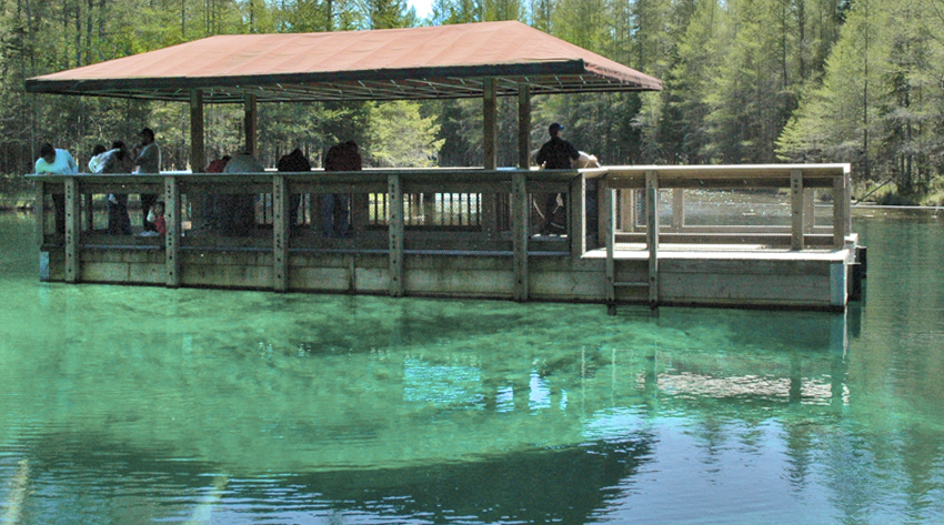 Kitchi-iti_kipi | Big Springs